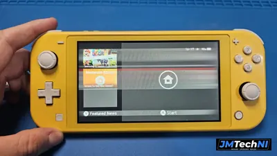 Nintendo Switch Lite Screen Replacement